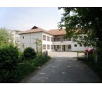 Camin cresa